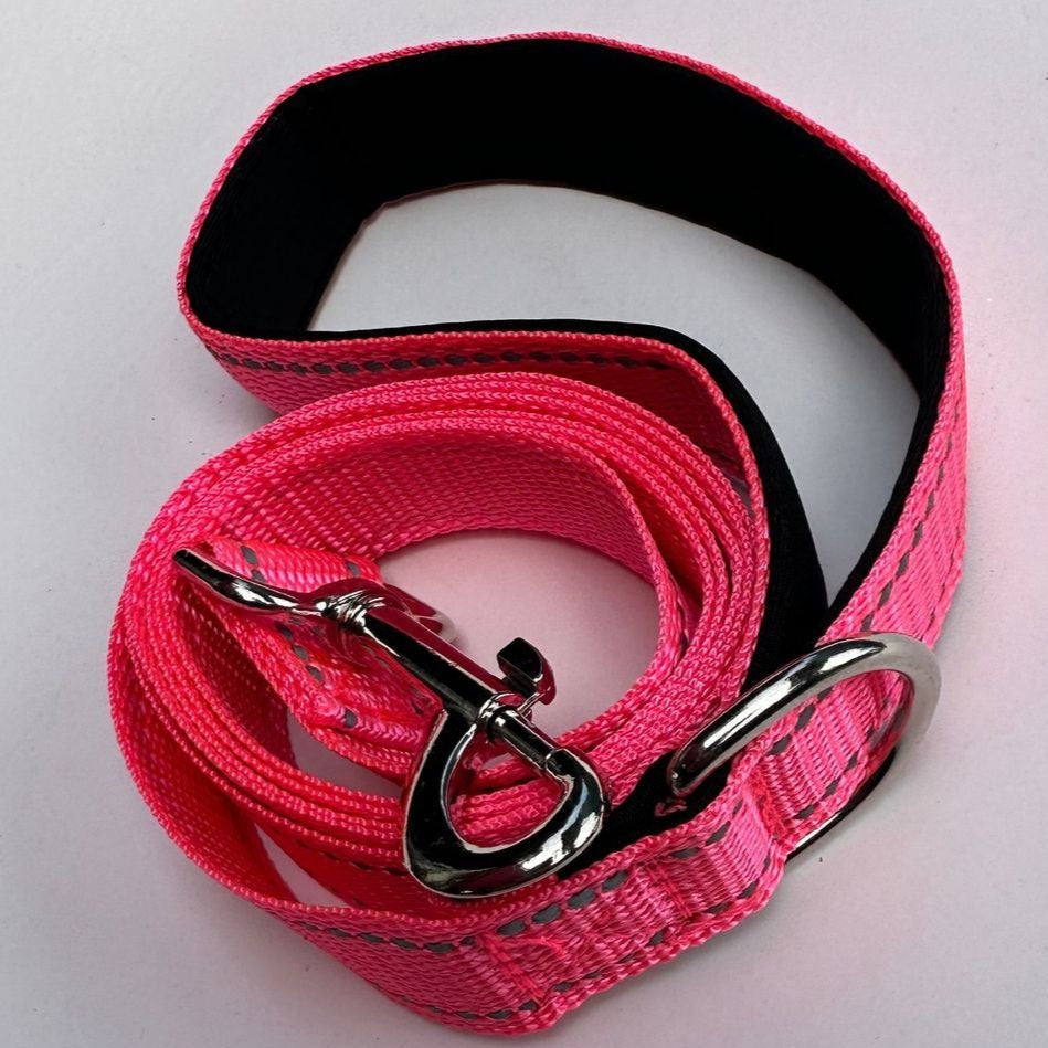 Reflective Dog Leash