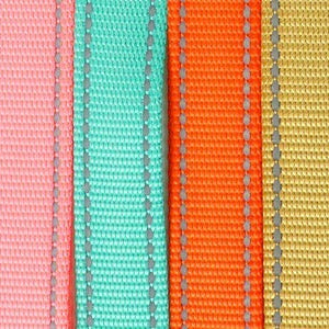 Reflective Dog Leash