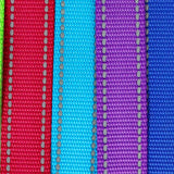 Reflective Dog Leash