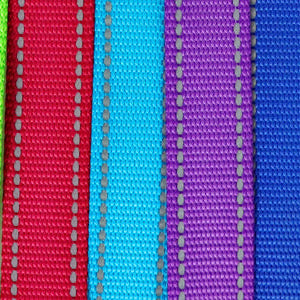 Reflective Dog Leash