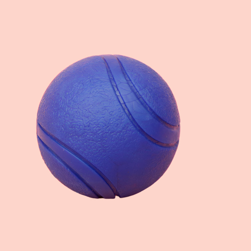 Durable Dog Ball