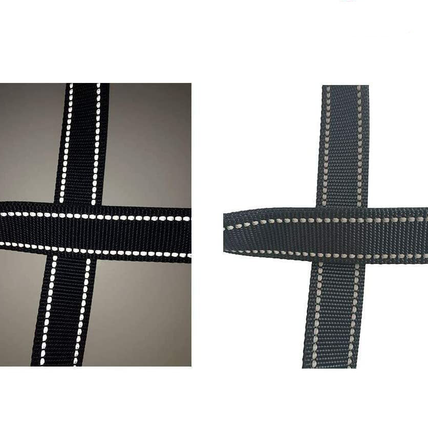 Reflective Dog Leash