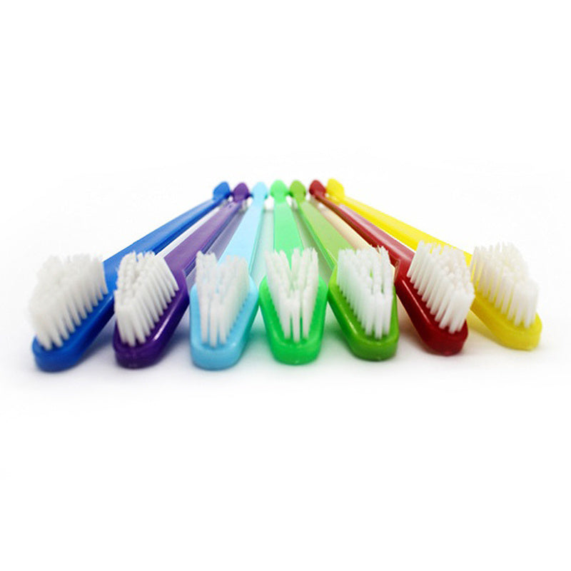 Dog Toothbrush Paw